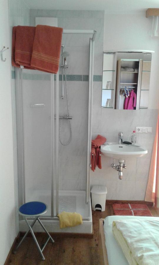 Appartment Steger Klara Mittersill Kültér fotó